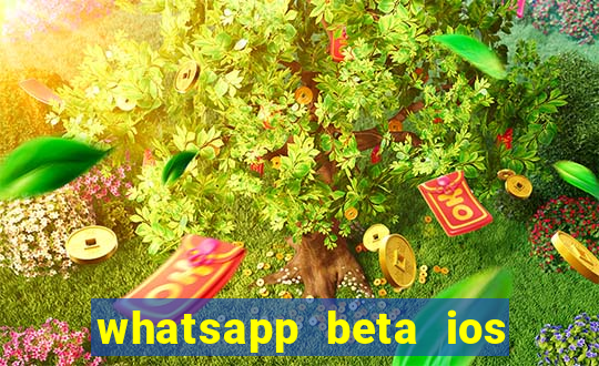 whatsapp beta ios testflight code 2024